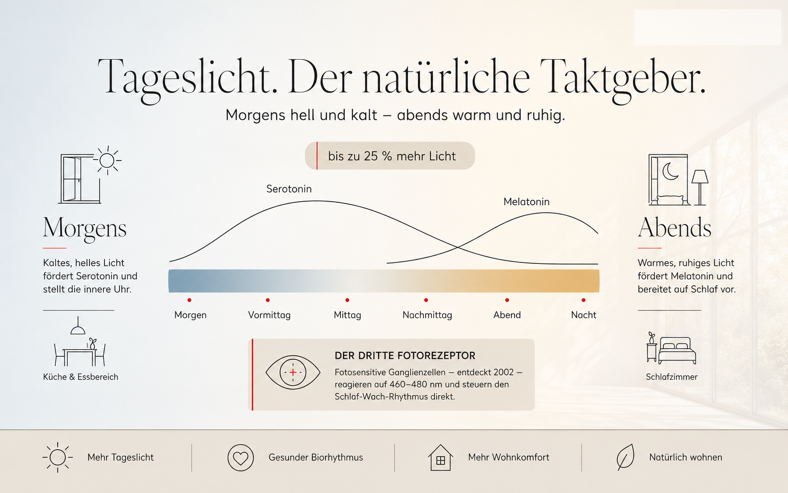 Infografik 2   Der Tagesbogen des Lichts